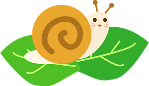 Snail on a leaf