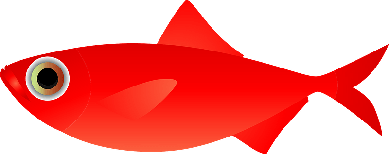 Splendid alfonsino fish