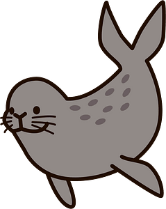 Spotted seal