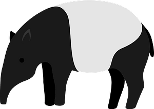 Tapir - Black and white