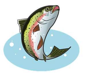Rainbow trout fish