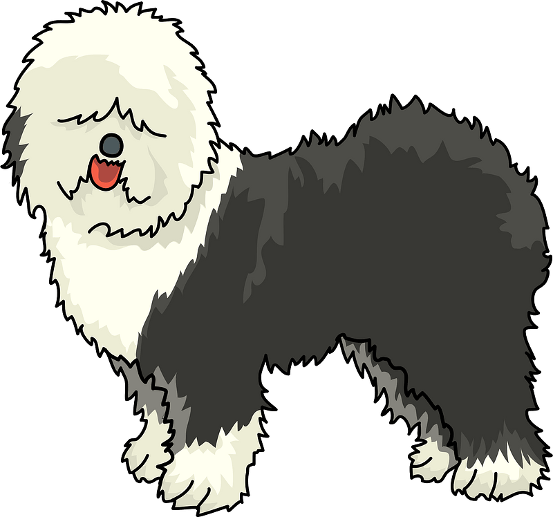 Old english sheepdog
