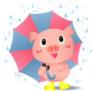 Pig using an umbrella in the rain