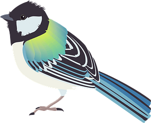 Japanese tit bird