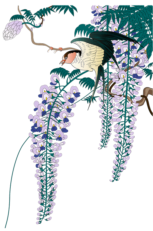 Japanese wisteria and bird