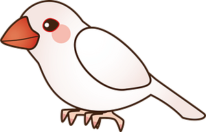Java sparrow bird