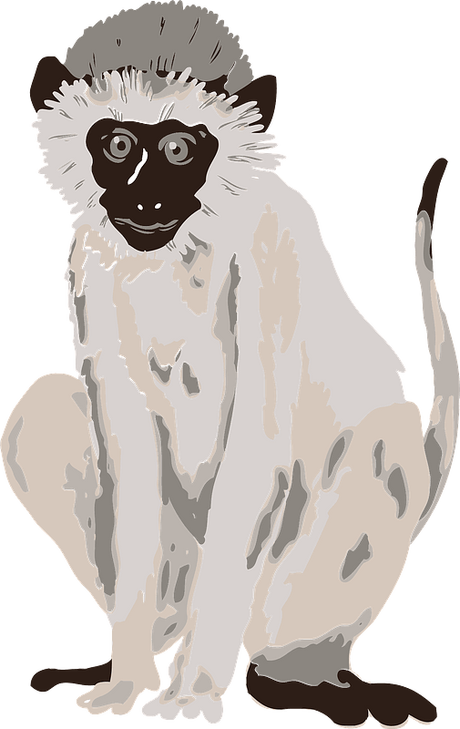 Lar gibbon monkey