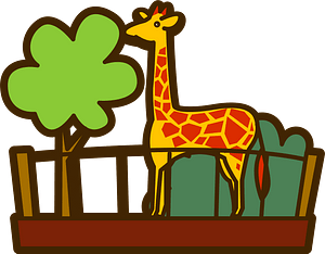 Giraffe in the zoo