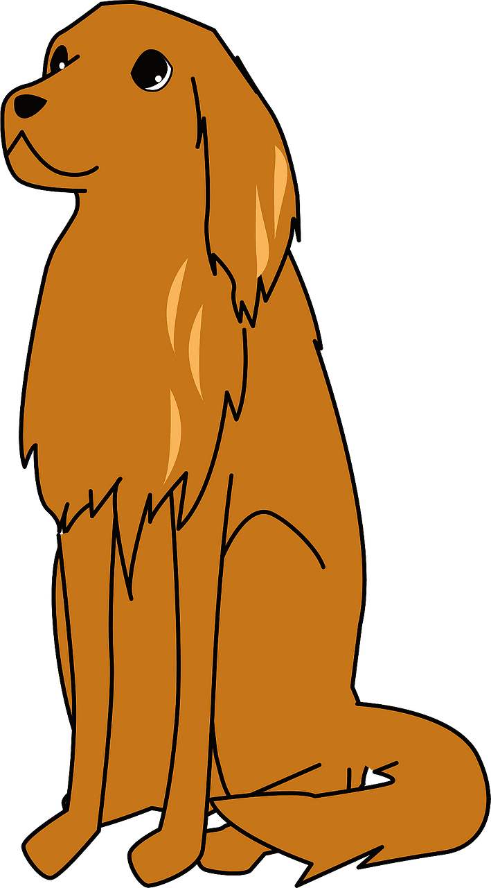 Golden retriever dog