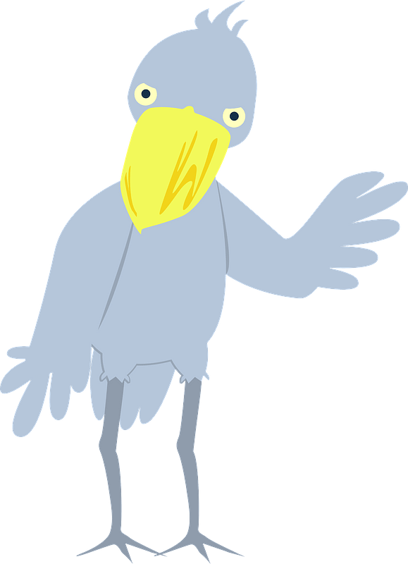 Green shoebill bird