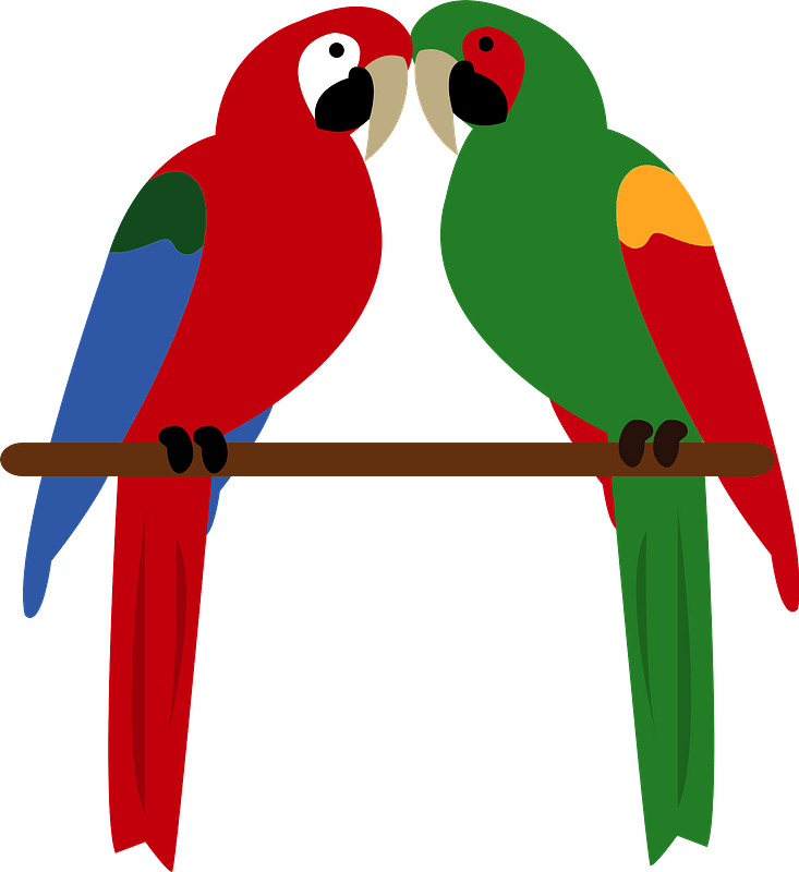 Green-winged military macaw