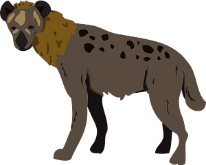 Hyena