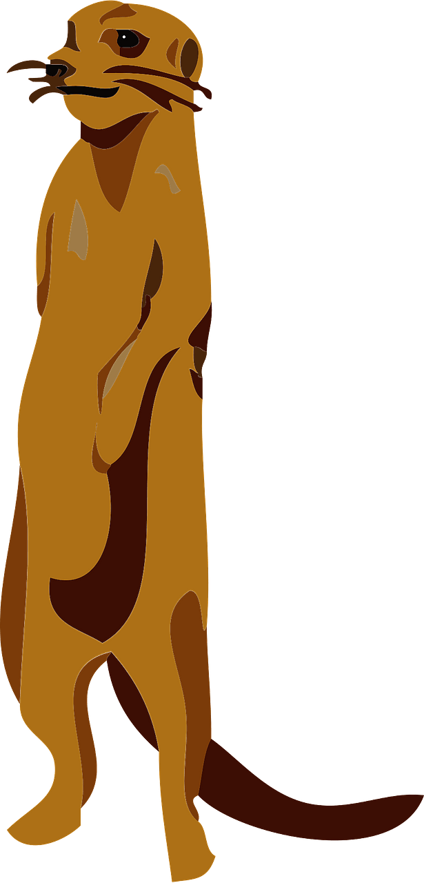 Surikat