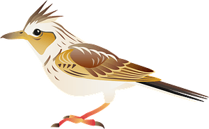 Eurasian skylark bird - Free vector clipart images on creazilla.com