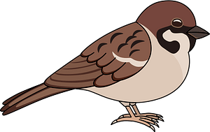 Eurasian tree sparrow