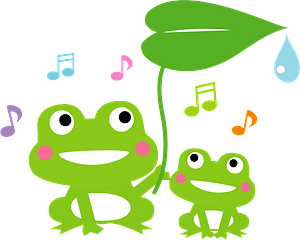 Frogs are Singing