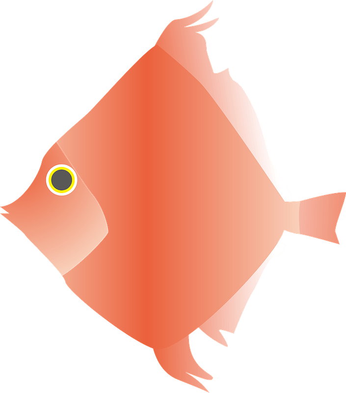 Deepbody boarfish