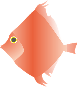 Deepbody boarfish