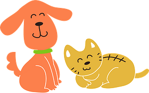 Dog and cat