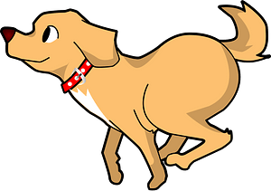 Dog Is running