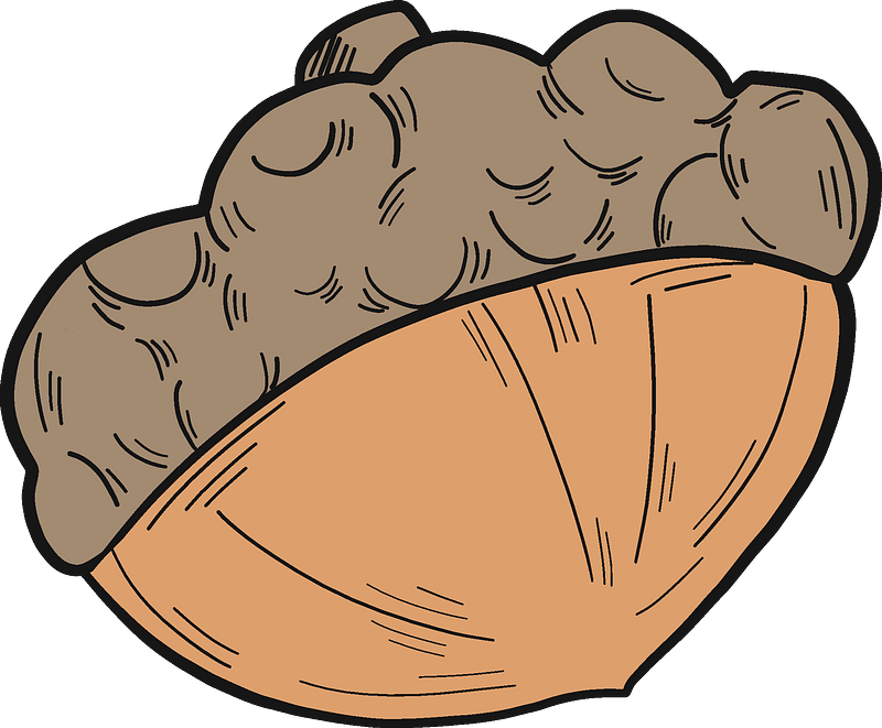 Acorn