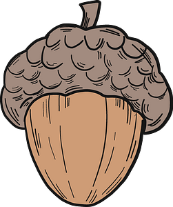 Akorn