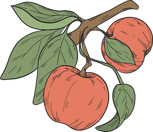 Red apples on a branch