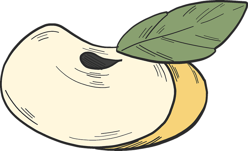 Slice of yellow apple 2