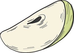 Slice of green apple