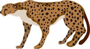 猎豹