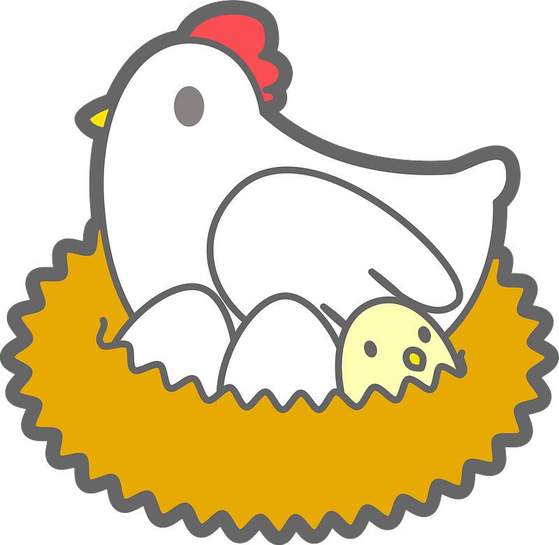 Chicken and chick eggs