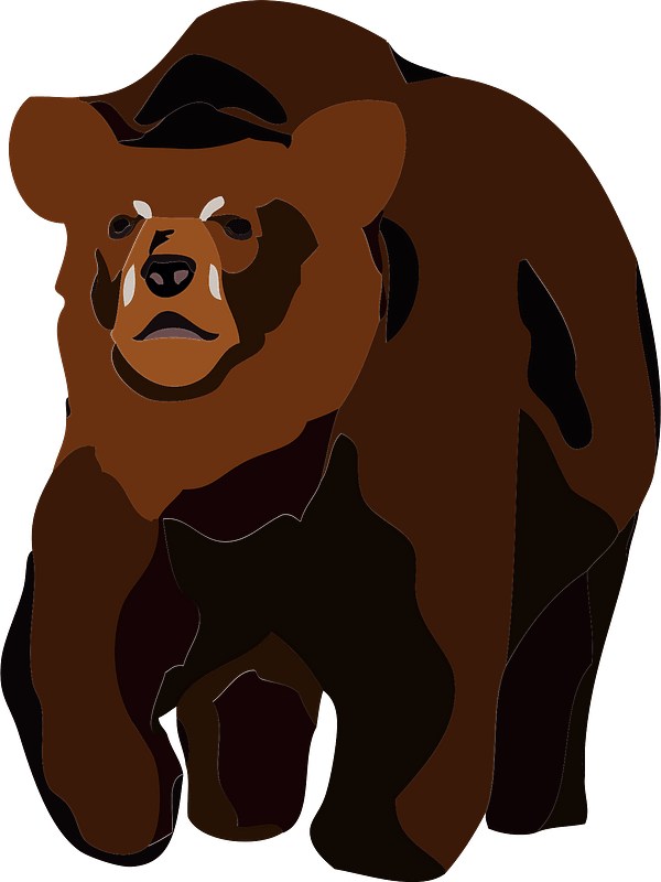 Brown bear