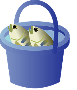 Bucket of fish