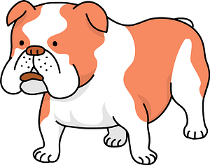 Bulldog