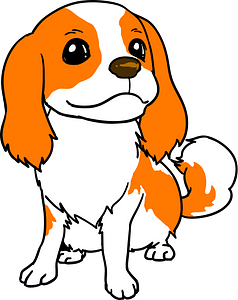 Cavalier king charles spaniel