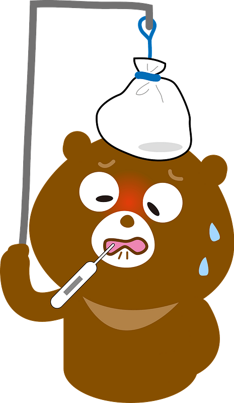 Bear with fever