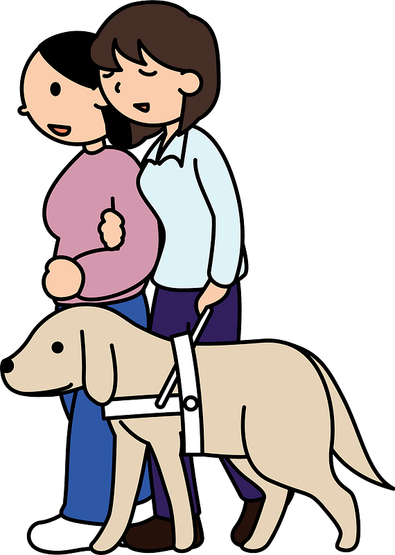 Blind woman is led by her friend and her guide dog