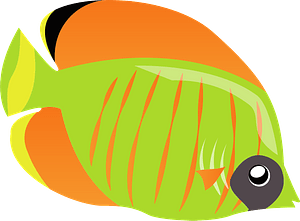 Bluecheek butterflyfish