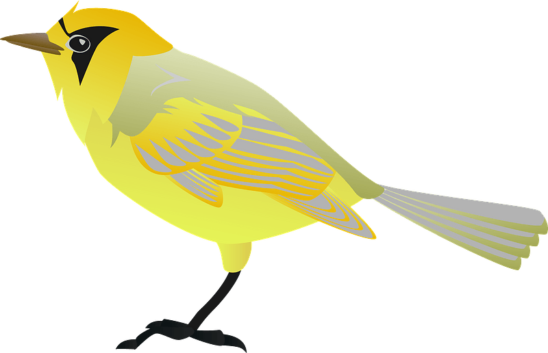 Bonin white eye bird - Free vector clipart images on creazilla.com