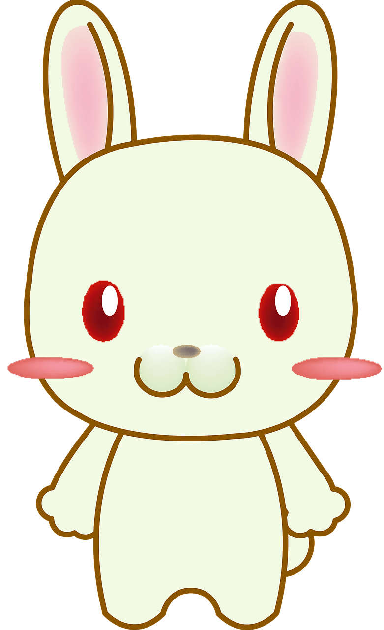 Rabbit