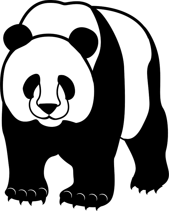 Giant panda
