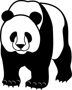Giant panda