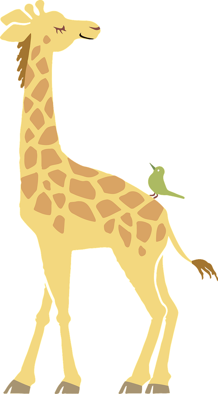 Giraffe 