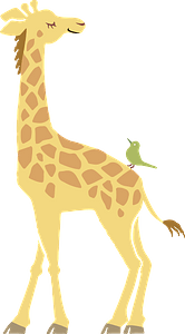 Giraffe 