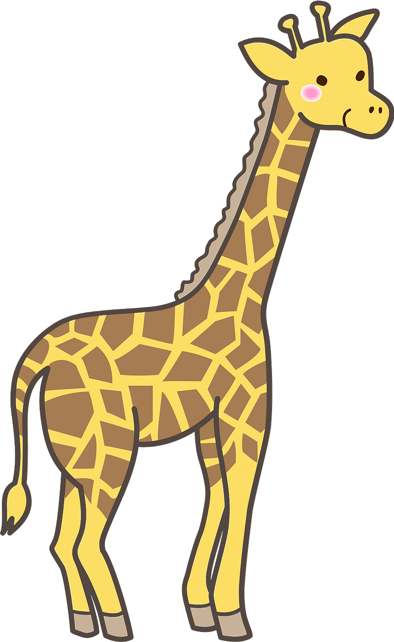 Giraffe 