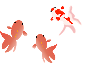 Goldfish