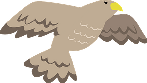 Hawk Flying