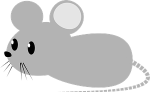 Grey Mouse