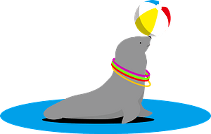 Sea lion is balancing ball on nose