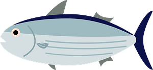 Skipjack tuna fish